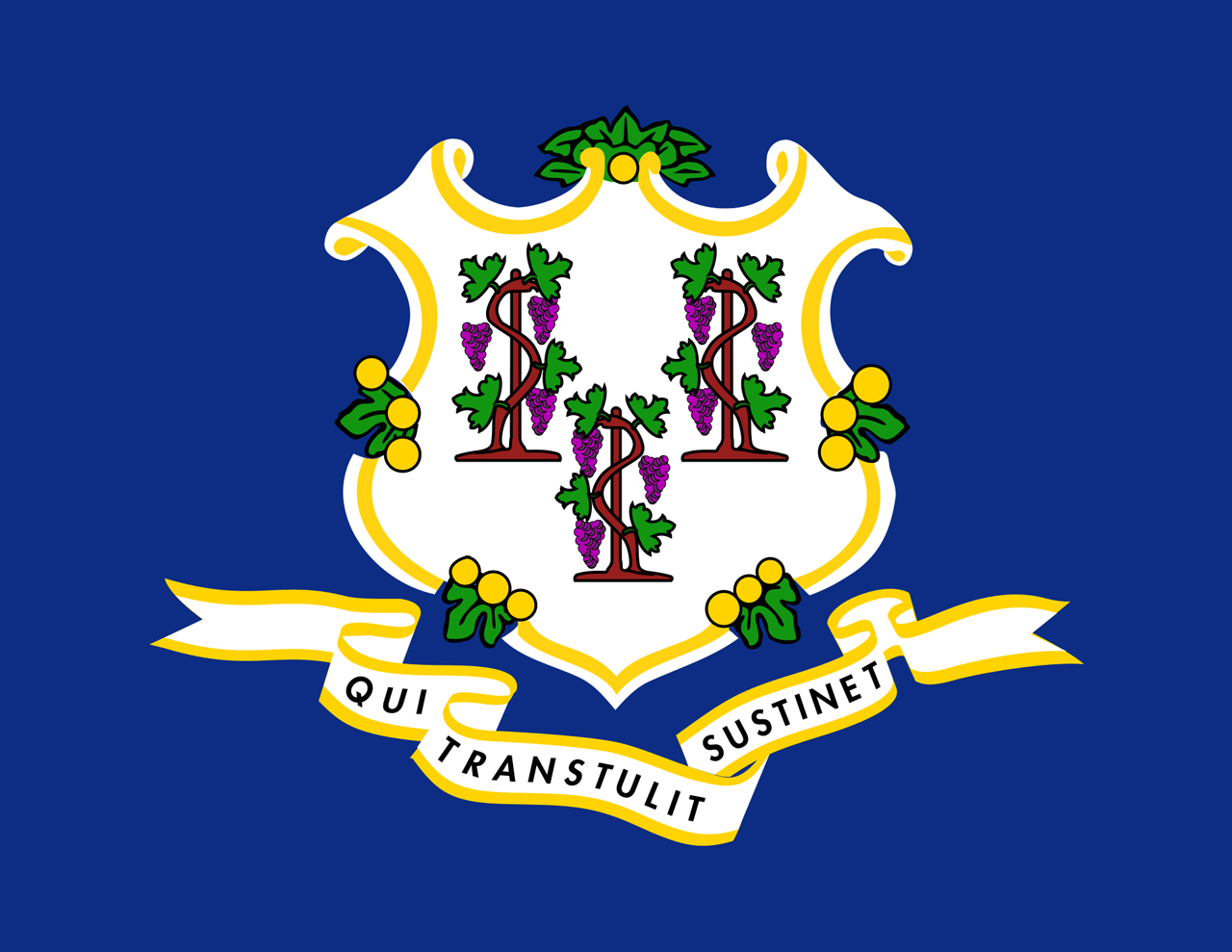 Connecticut flag