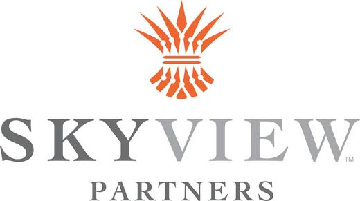 Image of SkyView logo